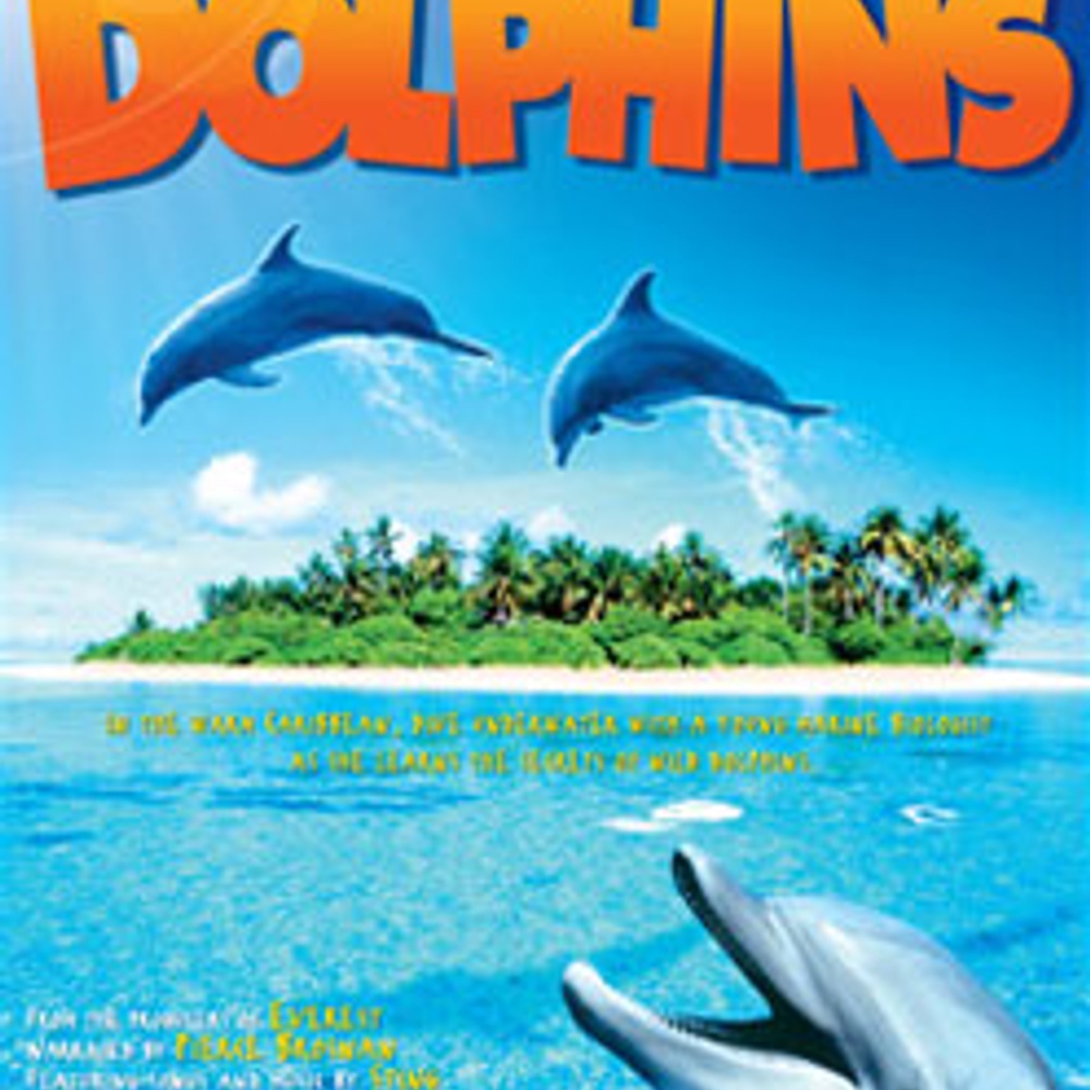 Affiche du film Dolphins