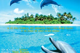 Affiche du film Dolphins