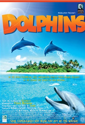Dolphins