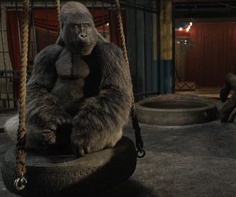Une scène du film The One and Only Ivan