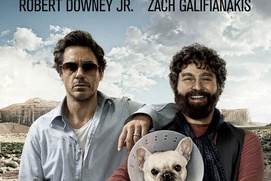 Affiche du film Due Date