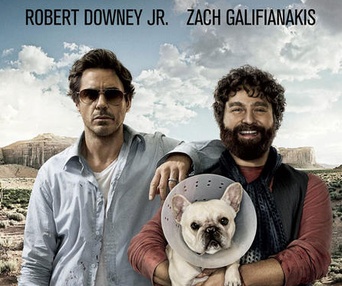 Affiche du film Due Date