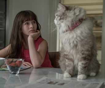 Une scène du film Nine Lives