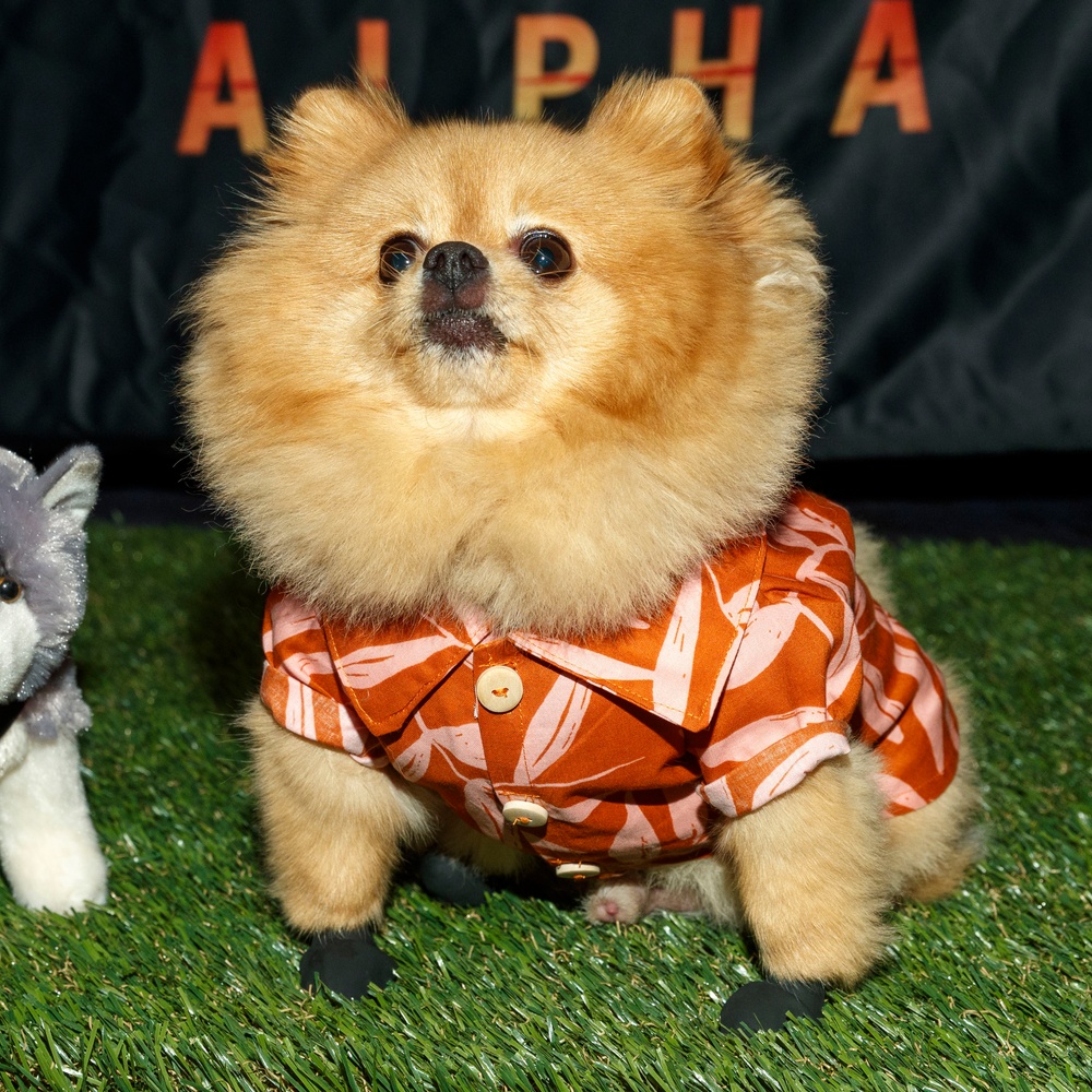 Première du film Alpha à Los Angeles