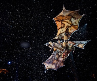 Une scène du film Cirque du Soleil: Worlds Away