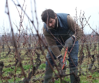 Une scène du film Retour en Bourgogne