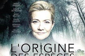 Affiche du film L'origine des espèces