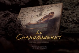 Affiche du film The Goldfinch