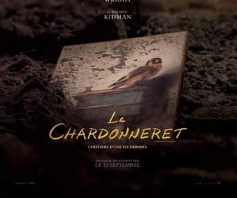 Affiche du film The Goldfinch