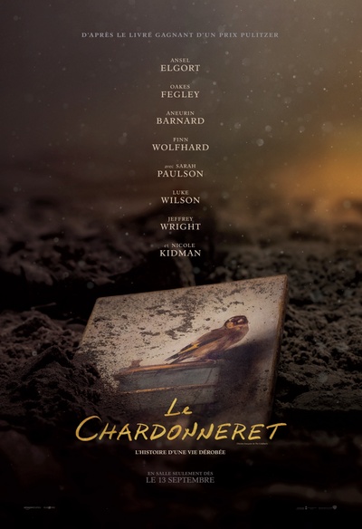 Affiche du film The Goldfinch