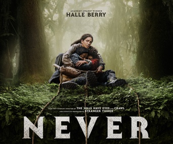 Affiche du film Never Let Go
