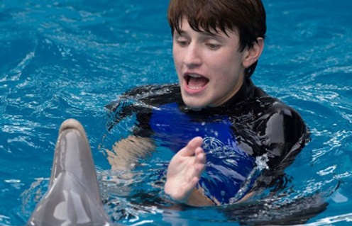 Une scène de Dolphin Tale 2
