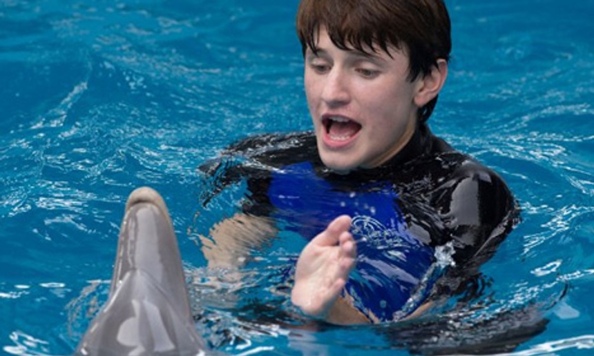 Nouveautés : Dolphin Tale 2