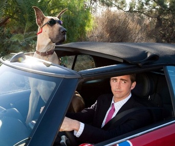 Une scène du film Marmaduke