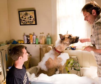 Une scène du film Marmaduke