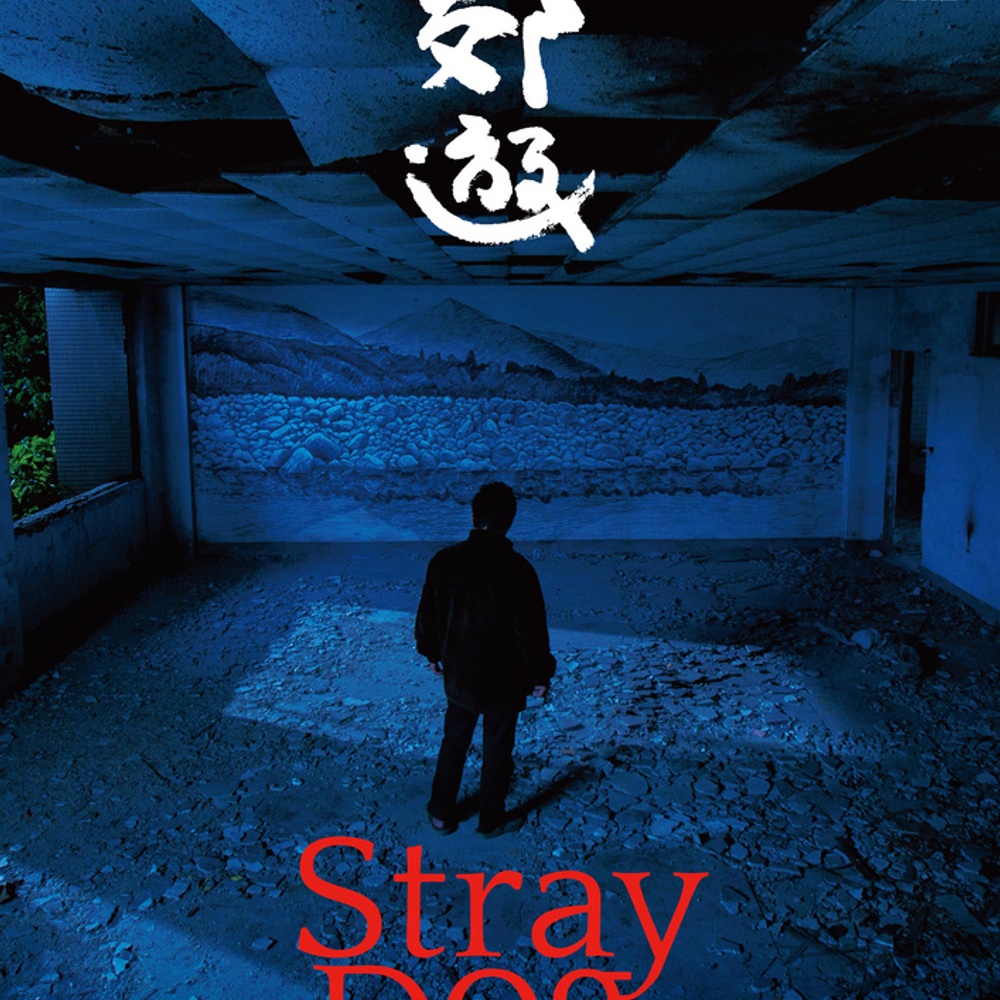 Affiche du film Stray Dogs