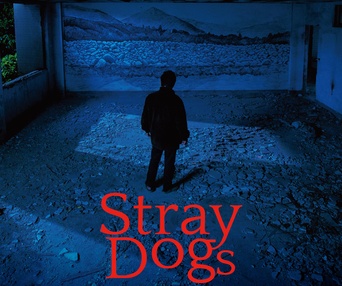 Affiche du film Stray Dogs