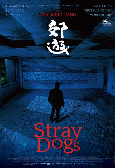 Affiche du film Stray Dogs