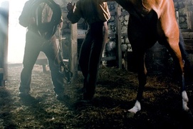 Une scène du film War Horse Une scène du film War Horse