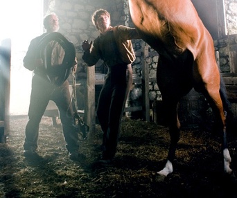 Une scène du film War Horse