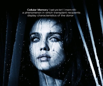 Affiche du film The Eye