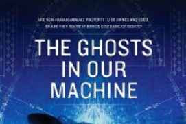 Images du film The Ghosts in Our Machine