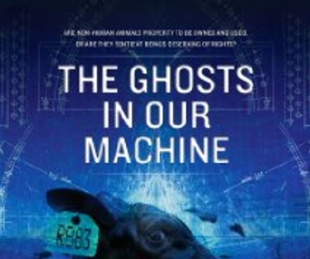 Images du film The Ghosts in Our Machine