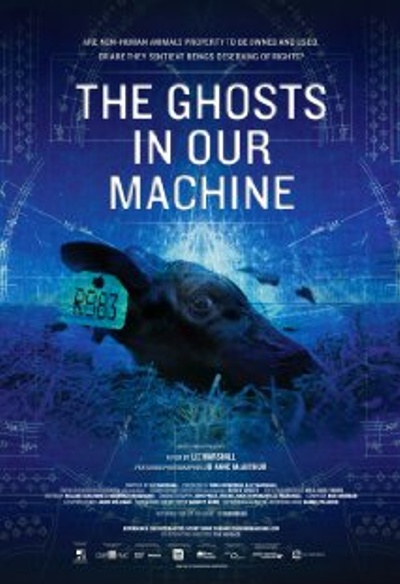 The Ghosts in Our Machine