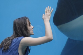 Une scène du film De rouille et d'os