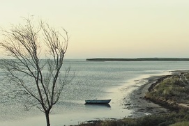 Image du film En terre de Crimée