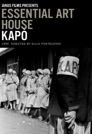 Kapo