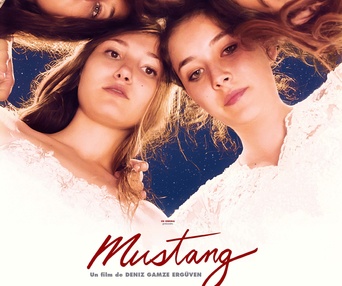 Affiche du film Mustang