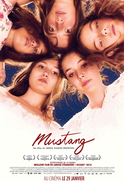 Affiche du film Mustang