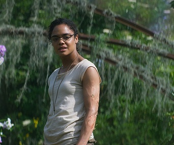 Une scène du film Annihilation