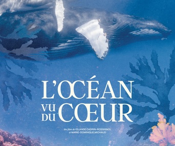 Affiche du film L'océan vu du coeur
