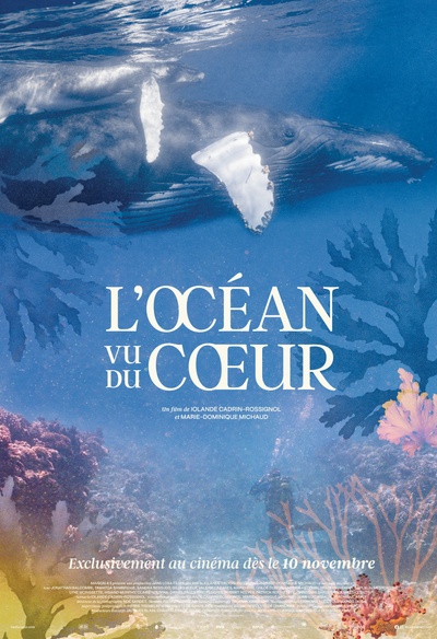 Affiche du film L'océan vu du coeur