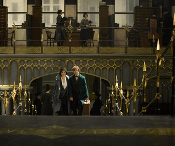 Une scène du film Fantastic Beasts and Where to Find Them