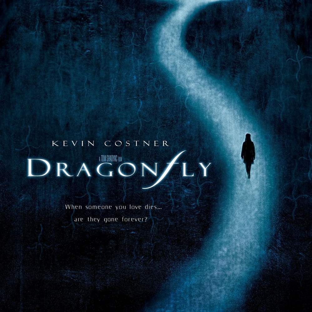 Affiche du film Dragonfly