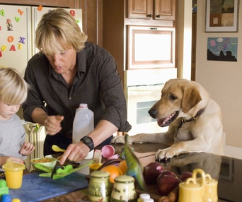 Scène du film Marley and Me