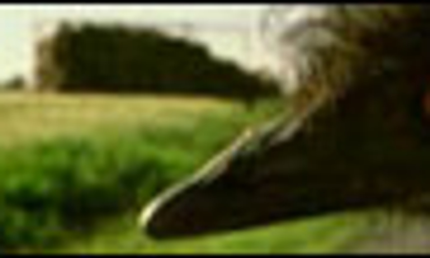 Primeur : Bande-annonce de Congorama de Philippe Falardeau