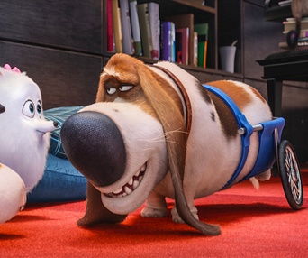 Une scène du film The Secret Life of Pets