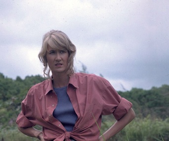 Une scène du film Jurassic Park