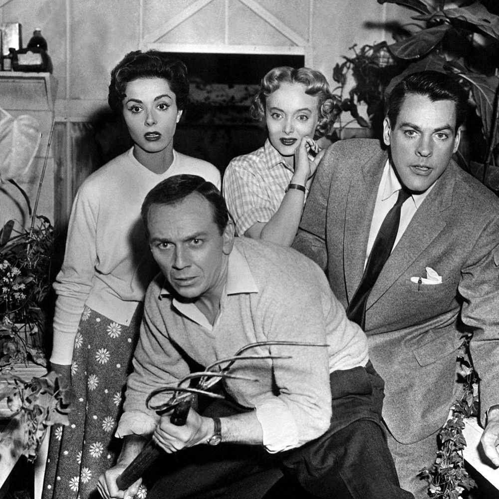 Une scène du film Invasion of the Body Snatchers