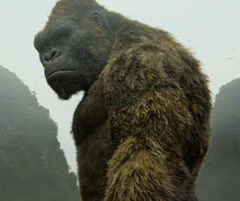 Une scène du film Kong : Skull Island