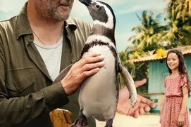 Affiche du film My Penguin Friend