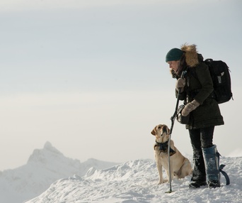 Une scène du film The Mountain Between Us