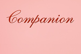 Affiche du film Companion