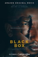 Affiche du film Black Box