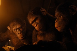 Image du film Kingdom of the Planet of the Apes