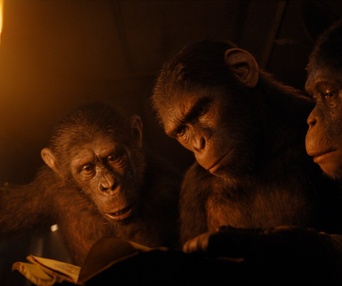 Image du film Kingdom of the Planet of the Apes